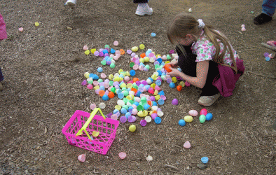 Egg Hunt